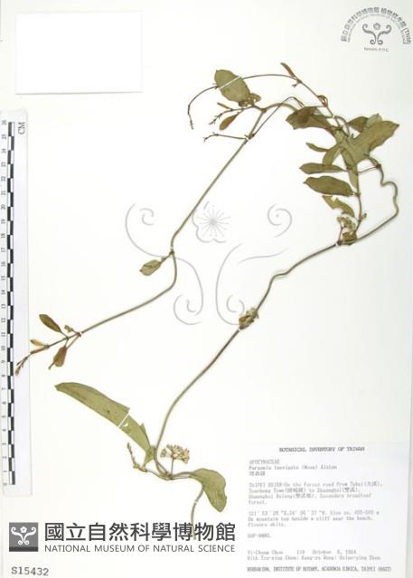 爬森藤藏品圖，第1張