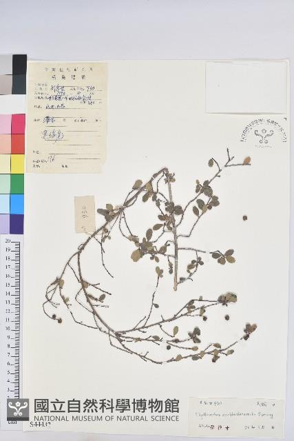 登錄號:S044432藏品圖，第1張