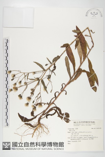 登錄號:S143432藏品圖，第1張