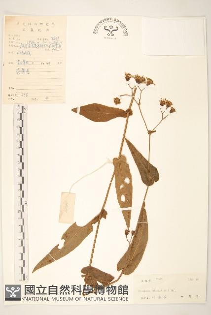 閩粵千里光藏品圖，第1張