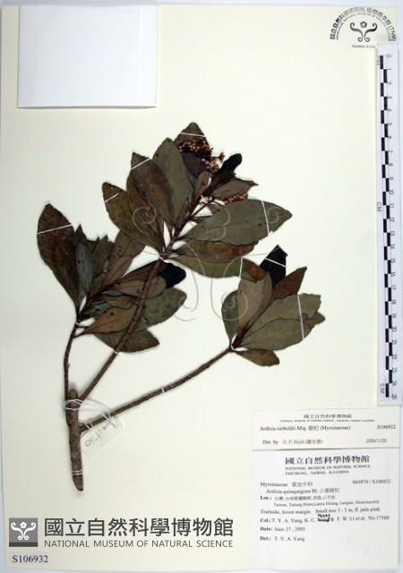 樹杞藏品圖，第1張