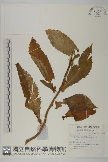 登錄號:S135932藏品圖，第1張