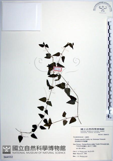 倒地蜈蚣、四角銅鑼藏品圖，第1張