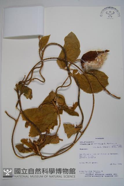 登錄號:S054662藏品圖，第1張