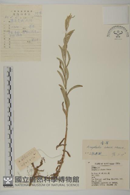 Accession Number:S036062 Collection Image, Figure 1, Total 3 Figures