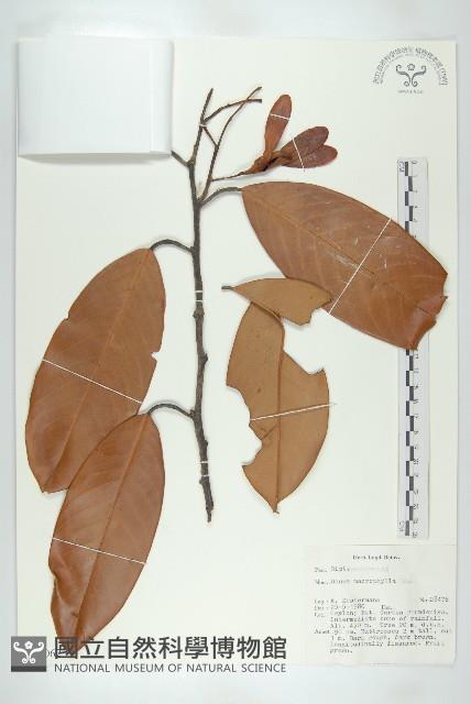 登錄號:S047062藏品圖，第1張