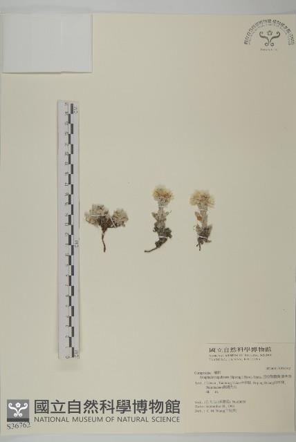 Accession Number:S036762 Collection Image, Figure 1, Total 2 Figures