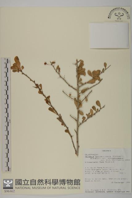 登錄號:S096462藏品圖，第1張