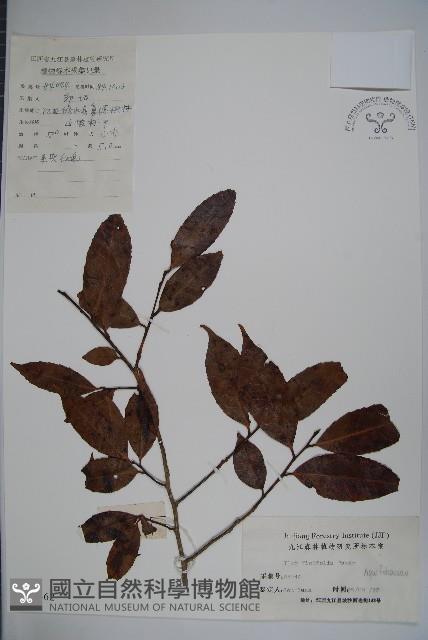 登錄號:S024462藏品圖，第1張