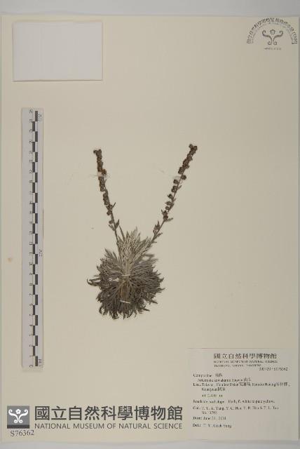 太魯閣艾藏品圖，第1張