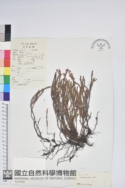 登錄號:S023562藏品圖，第1張