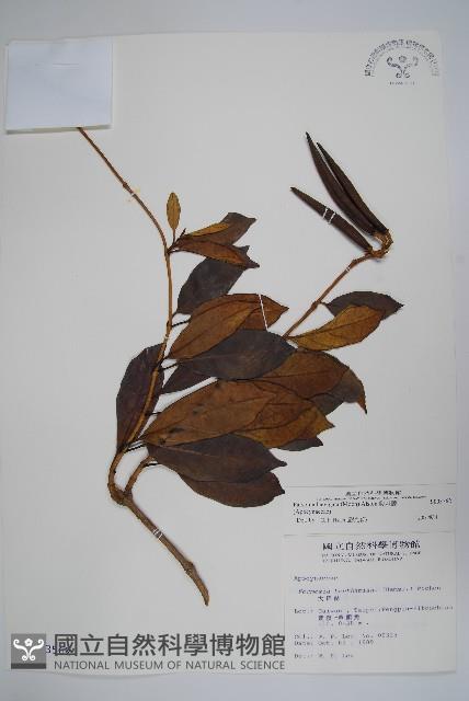 爬森藤藏品圖，第1張