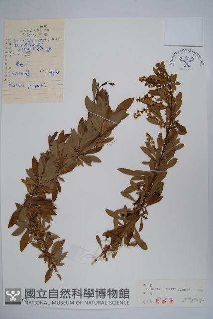 登錄號:S027562藏品圖，第1張