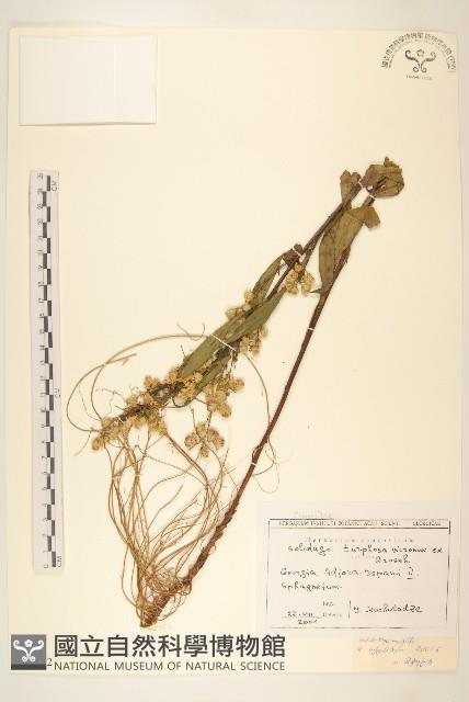 登錄號:S097562藏品圖，第1張