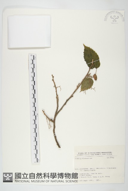 登錄號:S025742藏品圖，第1張