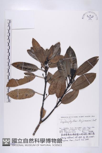 登錄號:S144342藏品圖，第1張