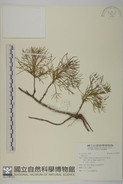 登錄號:S114672藏品圖，第1張