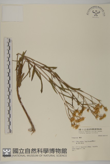 登錄號:S037172藏品圖，第1張