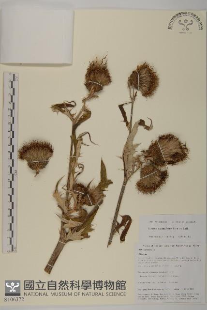 總序薊藏品圖，第1張