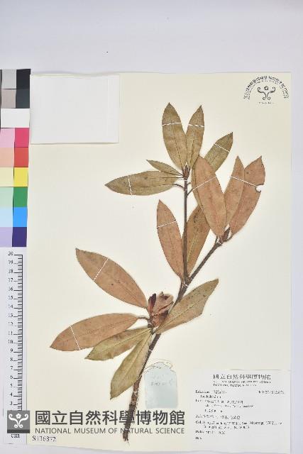 登錄號:S136872藏品圖，第1張