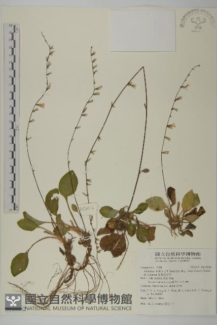 臺灣鬼督郵藏品圖，第1張