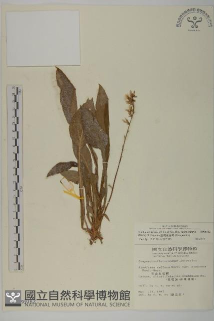 臺灣鬼督郵藏品圖，第1張