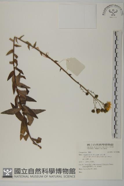 登錄號:S136082藏品圖，第1張