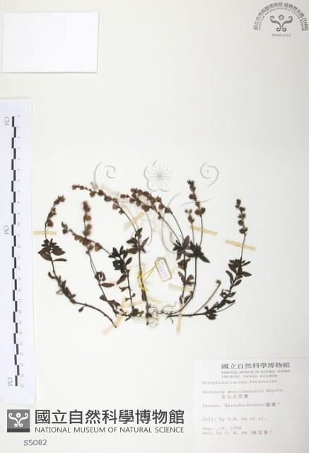 玉山水苦賈藏品圖，第1張