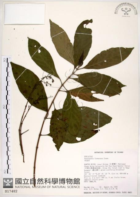 水金京藏品圖，第1張