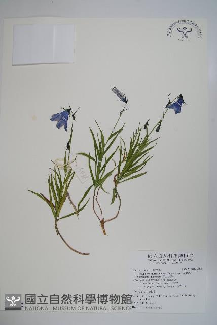 玉山水苦賈藏品圖，第1張