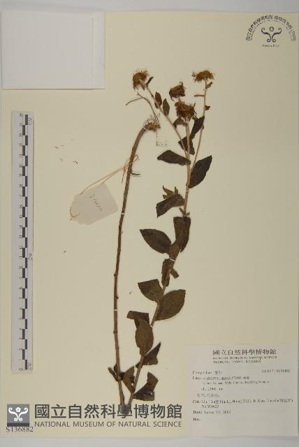 登錄號:S136882藏品圖，第1張