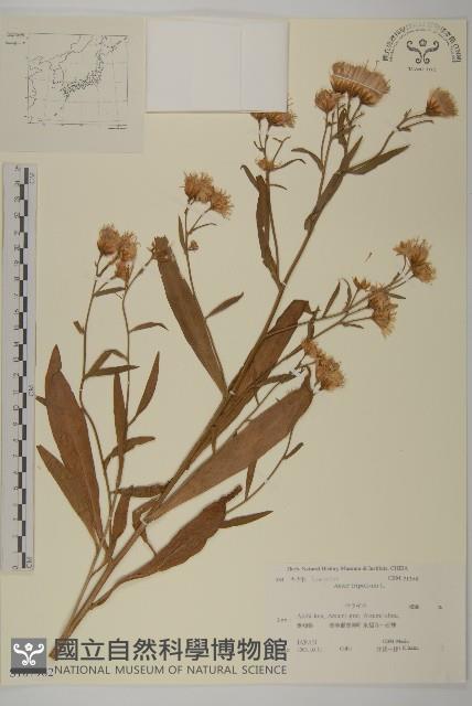 Accession Number:S107982 Collection Image, Figure 1, Total 2 Figures