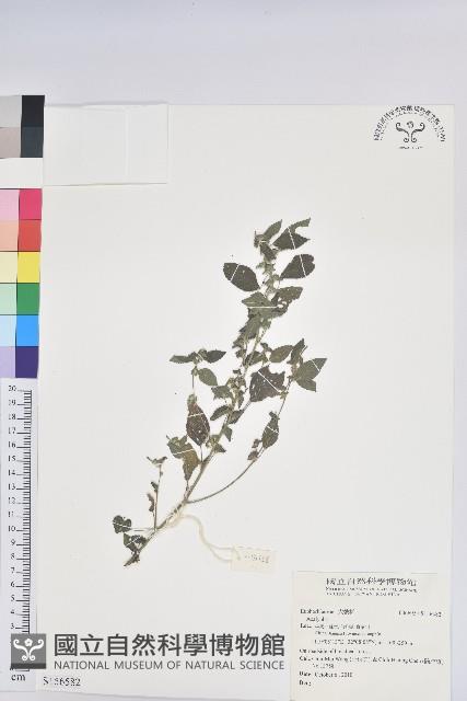 登錄號:S156582藏品圖，第1張