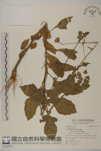 登錄號:S116720藏品圖，第1張