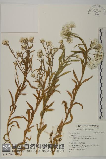 登錄號:S136720藏品圖，第1張