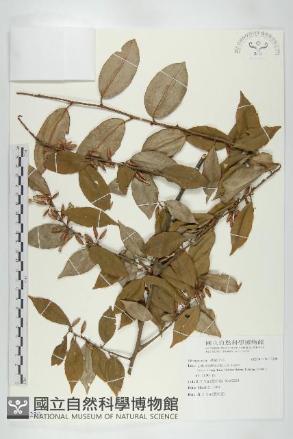 登錄號:S115220藏品圖，第1張