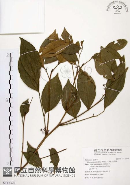 石苓舅藏品圖，第1張