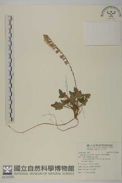 中原氏鬼督郵藏品圖，第1張