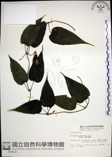 百部藏品圖，第1張