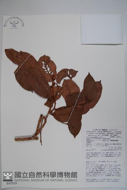 登錄號:S047010藏品圖，第1張