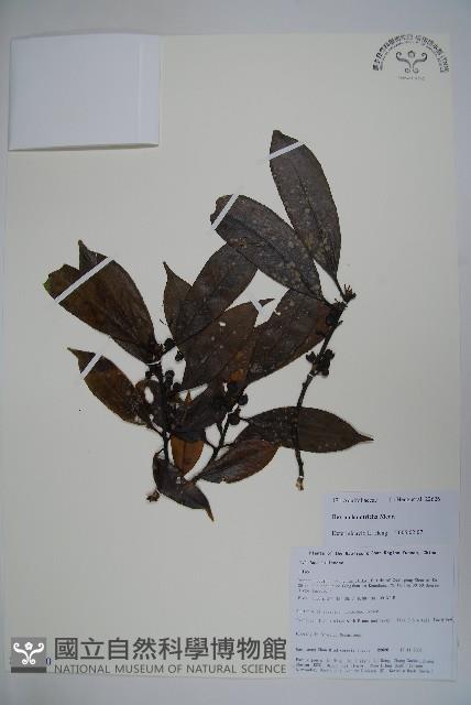 登錄號:S106210藏品圖，第1張