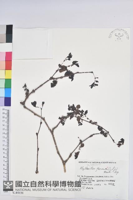 登錄號:S144110藏品圖，第1張