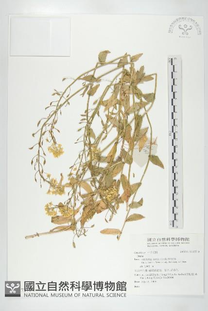 登錄號:S137310藏品圖，第1張