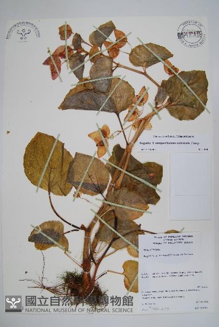 登錄號:S077510藏品圖，第1張