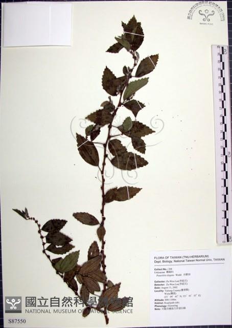 水雞油藏品圖，第1張