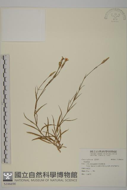 登錄號:S106690藏品圖，第1張