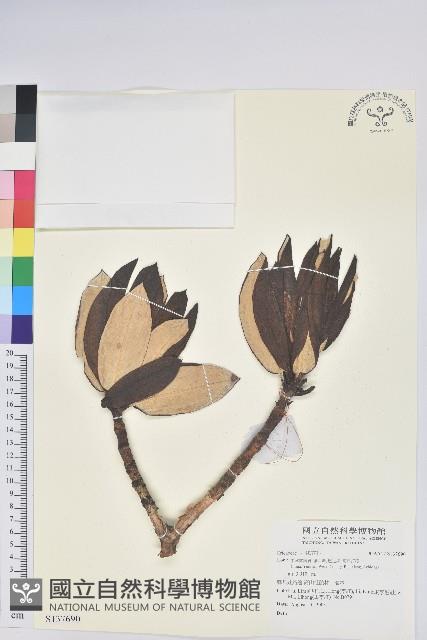 登錄號:S137690藏品圖，第1張