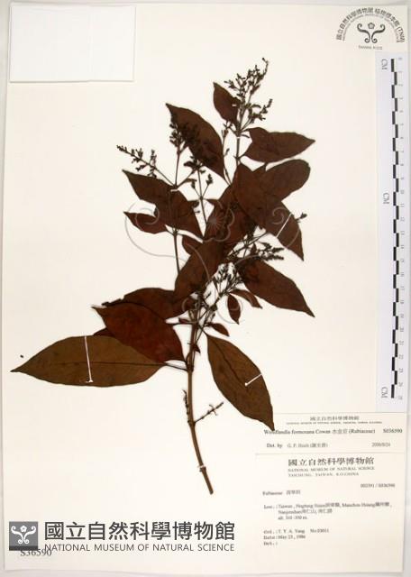 水金京藏品圖，第1張