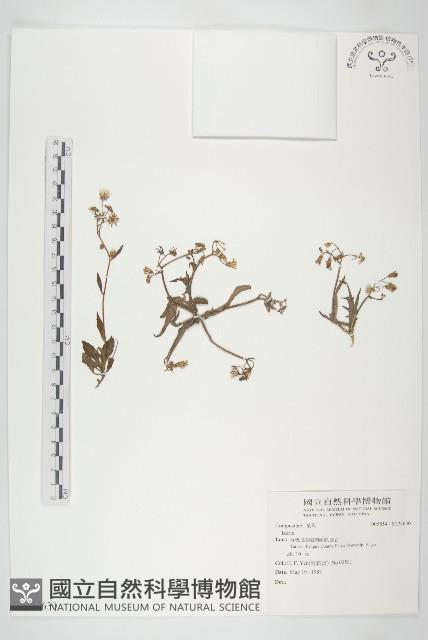 登錄號:S124630藏品圖，第1張