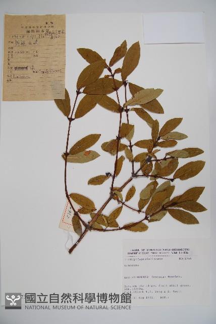 登錄號:S025730藏品圖，第1張